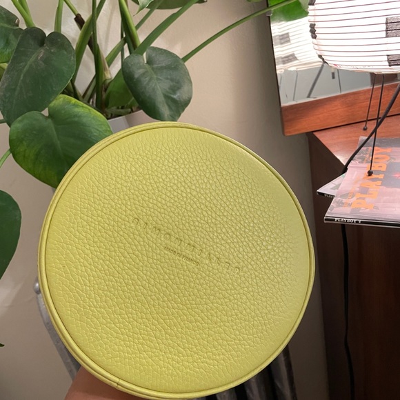 Simon Miller Bonsai bag in Lemon - Picture 4 of 4